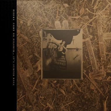 Pixies C’mon Pilgrim… It’s Surfer Rosa (bronze/gold vinyl) • Pixies C’mon Pilgrim… It’s Surfer Rosa (bronze/gold vinyl)