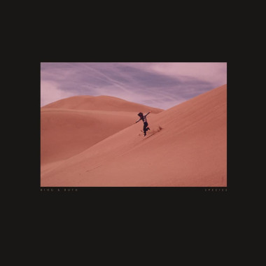 Bing & Ruth • Species