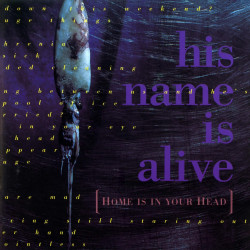 His Name Is Alive • Home Is In Your Head