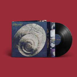 Snail Mail • Ricochet