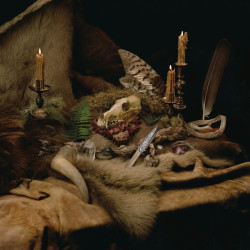 Wolves In The Throne Room • Primordial Arcana