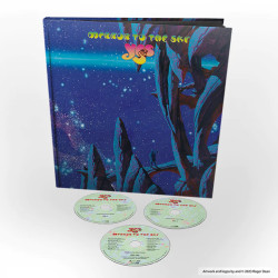 Yes • Mirror to the Sky
