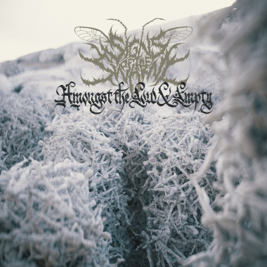 SIGNS OF THE SWARM • AMONGST THE LOW & EMPTY