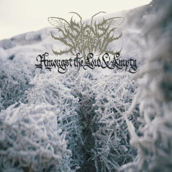 Signs Of The Swarm • Amongst The Low & Empty (gatefold)