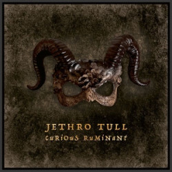 Jethro Tull • Curious Ruminant / Booklet