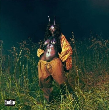 Sza •  Sos Deluxe Lana