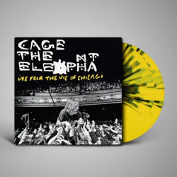 Cage The Elephant • Live From The Vic In Chicago