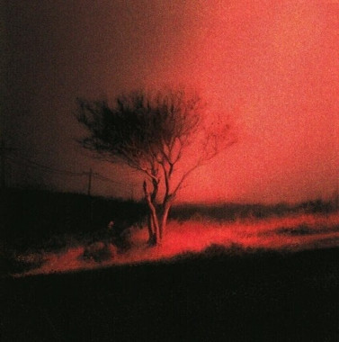 Joji • Piss In The Wind Ltd.