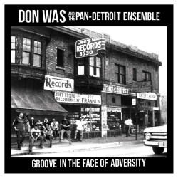 Was, Don • Groove In The Face Of Adversity