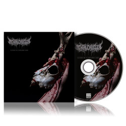 Mental Cruelty • Echoes Of A Forlorn Land