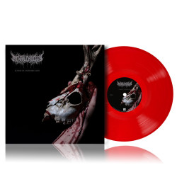 Mental Cruelty • Echoes Of A Forlorn Land