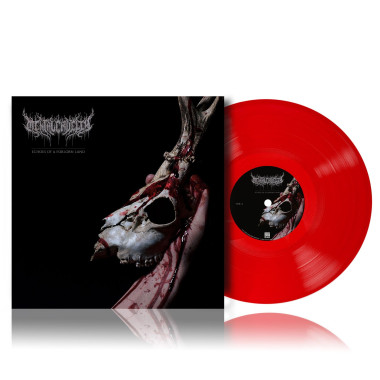 Mental Cruelty • Echoes Of A Forlorn Land