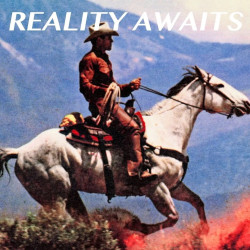 Strokes • Reality Awaits