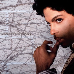 Prince • Musicology