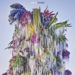 Wilco • Cousin