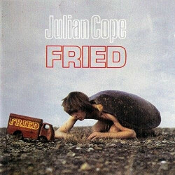 Julian Cope • Fried