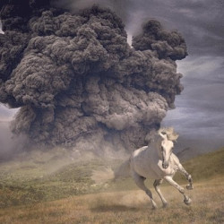 The White Buffalo • Year of the Dark Horse (coloured)