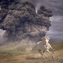 The White Buffalo • Year of the Dark Horse