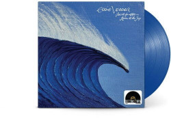 Vedder Eddie • Save It For Later / Room