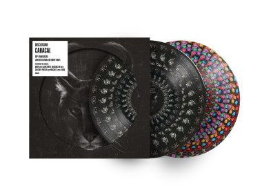 Disclosure • Caracal