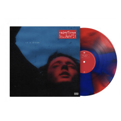 Troye Sivan In A Dream • Troye Sivan In A Dream