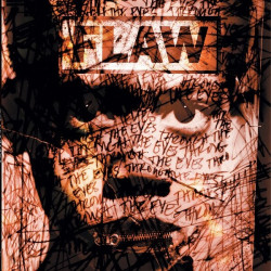 Flaw • Through The Eyes