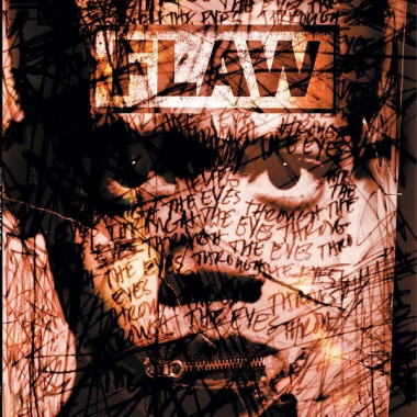Flaw • Through The Eyes