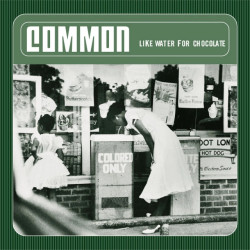 Common • Like Water for Chocolate (HQ / 180 Gram Vinyl)
