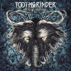 Toothgrinder • Nocturnal Masquerade