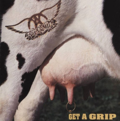 Aerosmith Get A Grip LP • Aerosmith Get A Grip LP