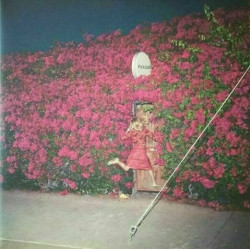 Feist • Pleasure