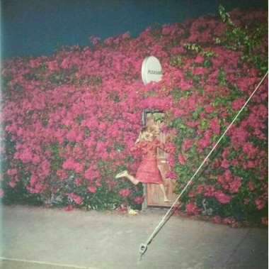 Feist • Pleasure
