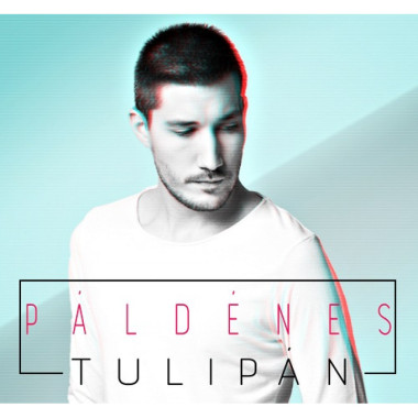 Dénes Pál • Tulipán