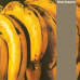 Charlatans • Between 10Th & 11Th