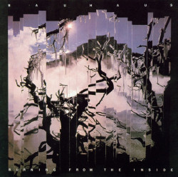 Bauhaus • Burning From The Inside