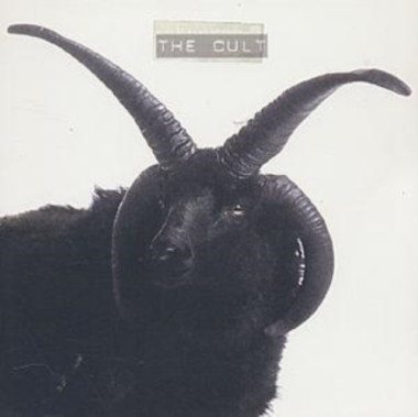 The Cult • The Cult