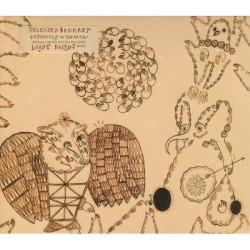 Devendra Banhart • Rejoicing In The Hands