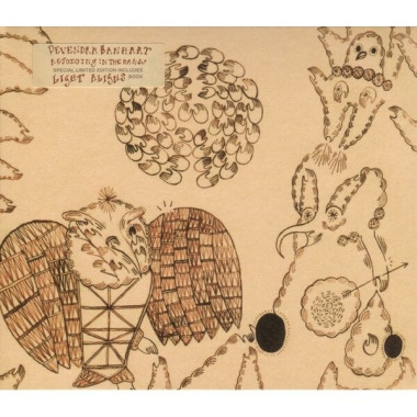 Devendra Banhart • Rejoicing In The Hands