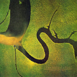 Dead Can Dance • The Serpent´s Egg (Remastered)
