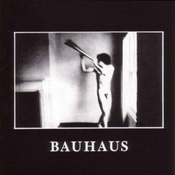 Bauhaus • In the Flat Field (HQ, 180g, LP+CD)