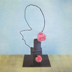 Methyl Ethel • Oh Inhuman Spectacle