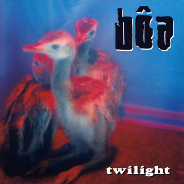 Boa • Twilight