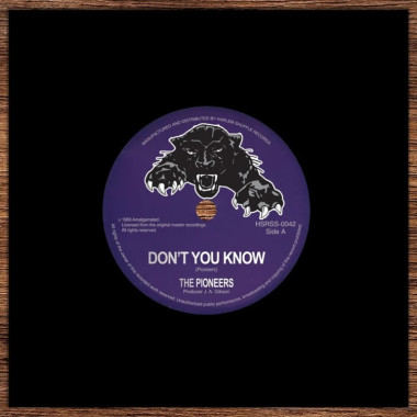 The Pioneers • 7-Don´T You Know / Me Naw Go A Believe