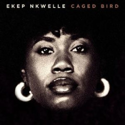 Nkwelle, Ekep • Caged Bird