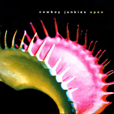Cowboy Junkies • Open
