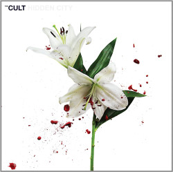 The Cult Hidden City • The Cult Hidden City