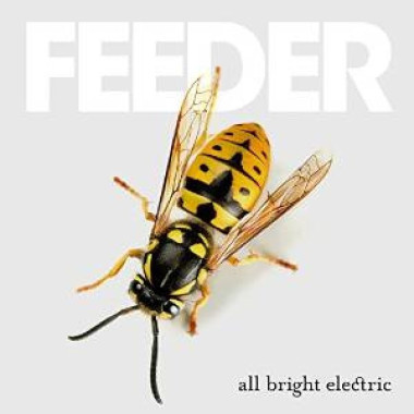 Feeder • All Bright Electric / Electric