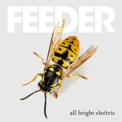 Feeder • All Bright Electric / Electric