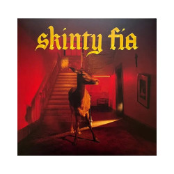 Fontaines D.C. • Skinty Fia