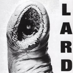 Lard • Power Of Lard